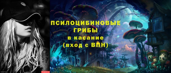 прущие крисы Арсеньев