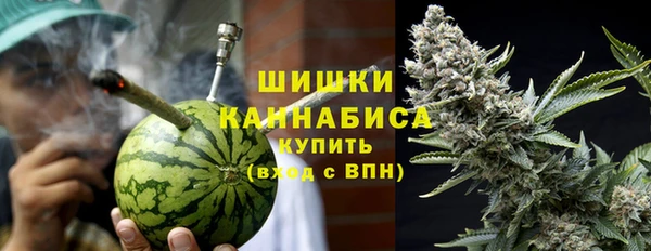 ПСИЛОЦИБИНОВЫЕ ГРИБЫ Аркадак