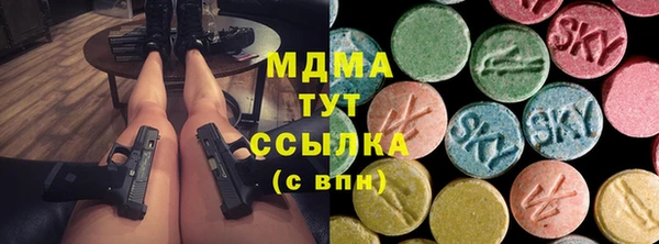 ПСИЛОЦИБИНОВЫЕ ГРИБЫ Аркадак