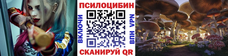 Галлюциногенные грибы прущие грибы  гидра как войти  Новозыбков 